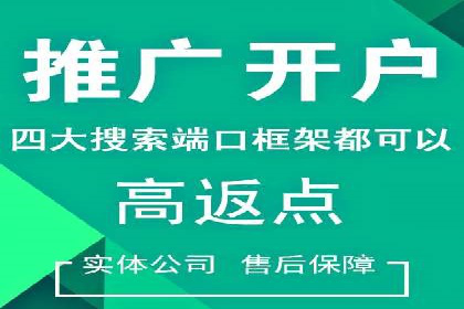 百度推广实战案例：如何精准投放广告